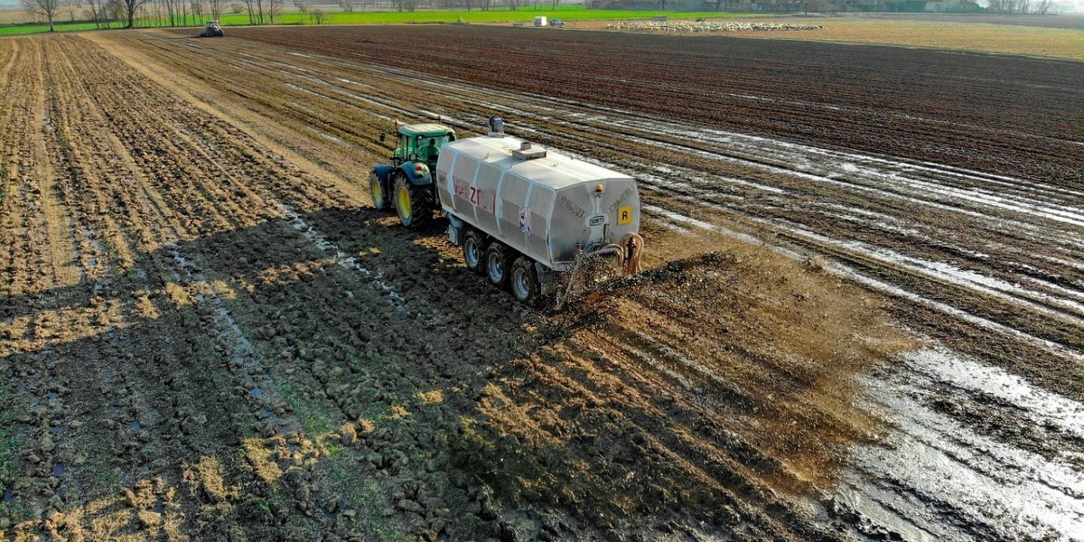ingrasamant-fertilizator-Sursa-foto-Pixabay.jpg - PressHub24