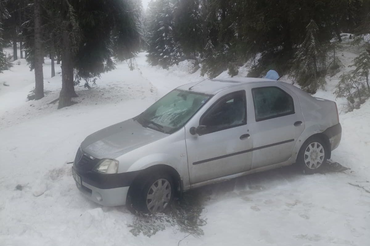 Doi tineri din Cluj-Napoca, salvați de jandarmi după ce au rămas înzăpeziți în Alba din cauza unei rute impracticabile indicată de GPS