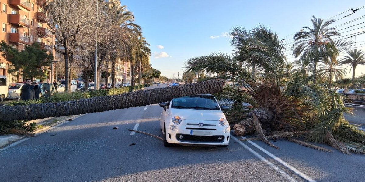 masini-vant-puternic-catalonia.jpg - PressHub24