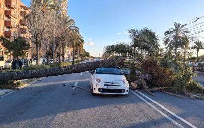 masini-vant-puternic-catalonia.jpg - PressHub24