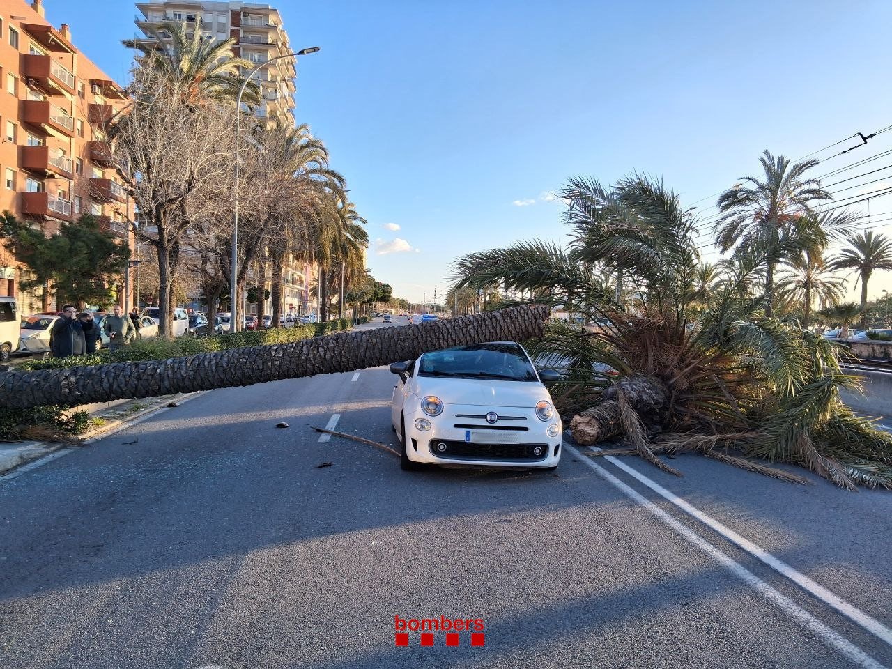 Vânt extrem în Catalonia: rafale de 170 km/h, trafic blocat și cinci răniți