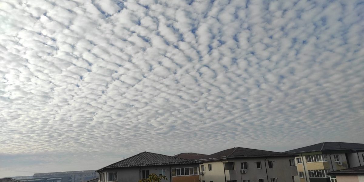 nori.jpeg - PressHub24