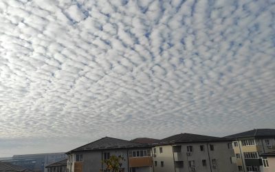 nori.jpeg - PressHub24