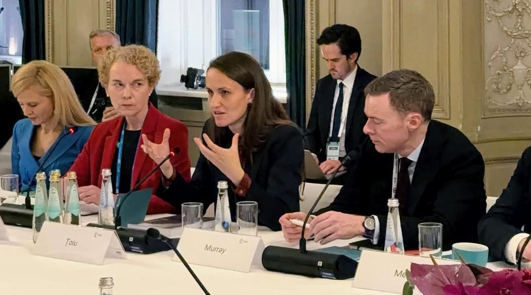 oana-toiu.jpg - PressHub24