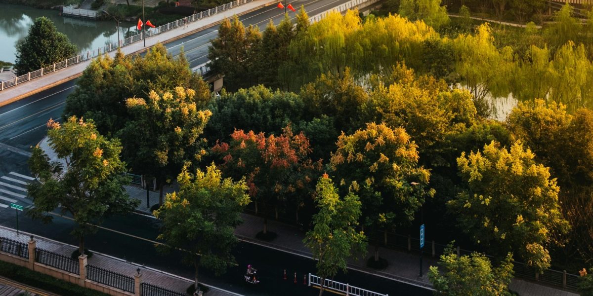 pexels-chuanyu2015-209658-30406834.jpg - PressHub24