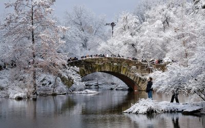 profimedia-1059402406.jpg - PressHub24