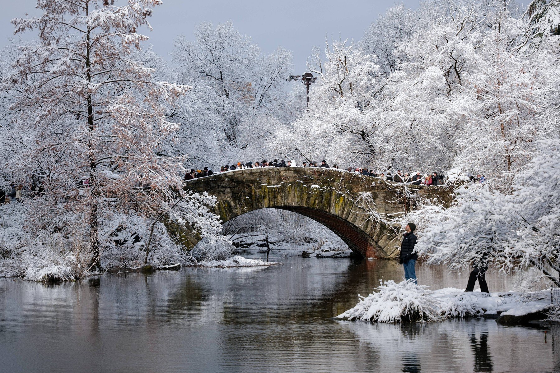 14 victime decedate în New York din cauza valului de frig