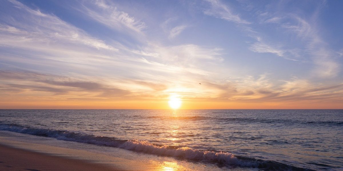 rasarit.jpg - PressHub24