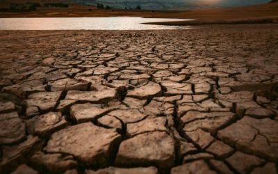 redcharlie-HxxmKwvUbgI-unsplash-e1712570270890.jpg - PressHub24