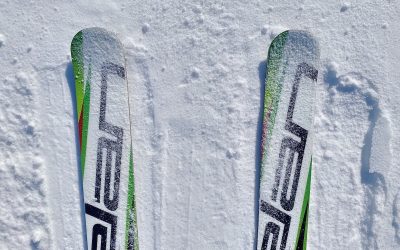 sarituri-schiuri-zapada.jpeg - PressHub24