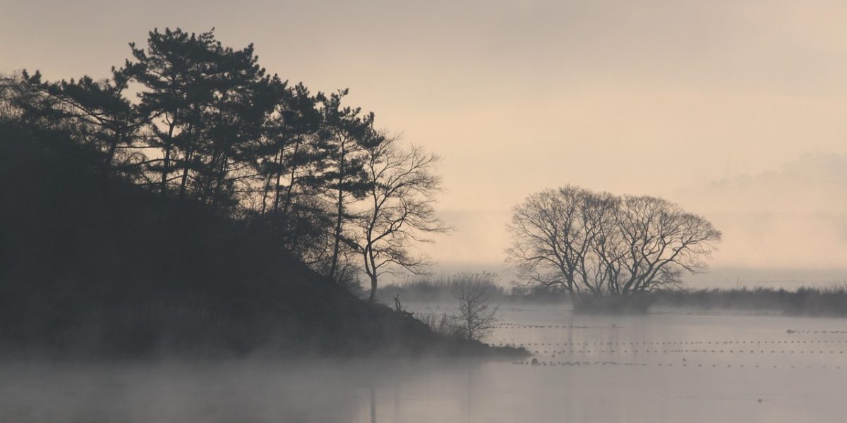 spinelee-bog-7426469_1280.jpg - PressHub24