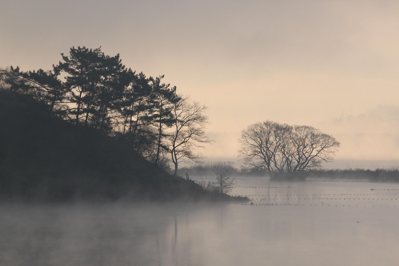Cadavrele din mlaștini dezvăluie informații despre perioada triburilor germanice