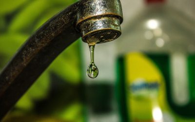 tap-4501207_1280.jpg - PressHub24