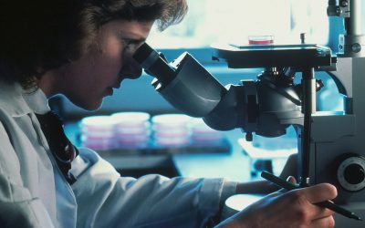 test-medical-cancer-microscop.jpg - PressHub24