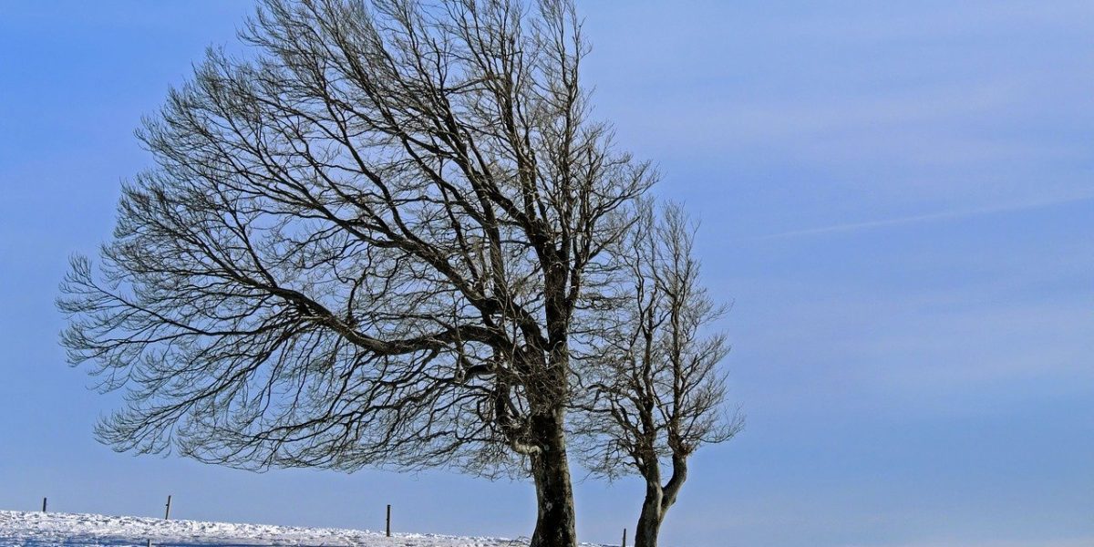 winter-landscape-g7a608bfff_1280.jpg - PressHub24