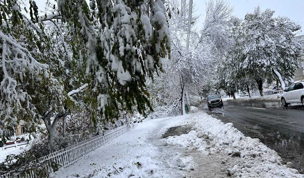 zapada-iarna-nameti-drumuri-inchise-viscol-cod-rosu-vreme-rea-noroi-deszapezire2.jpeg - PressHub24