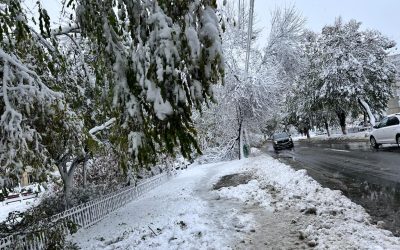 zapada-iarna-nameti-drumuri-inchise-viscol-cod-rosu-vreme-rea-noroi-deszapezire2.jpeg - PressHub24