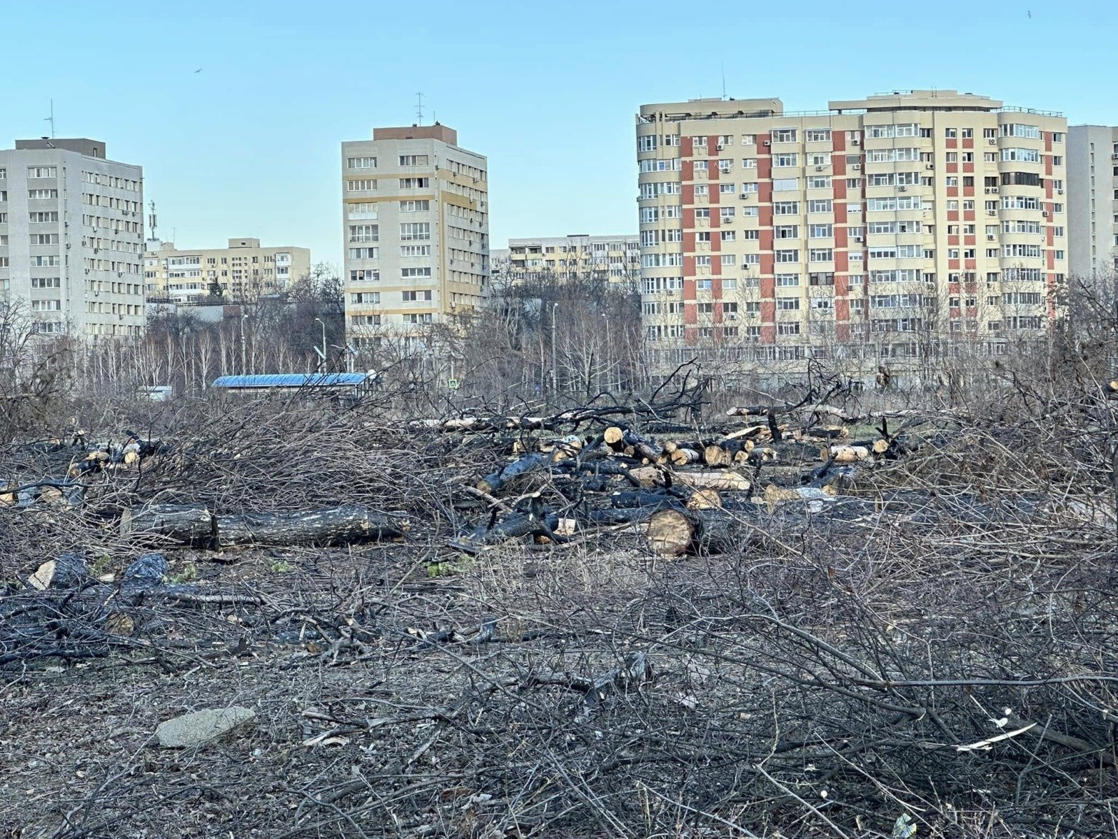 Primarul capitalei: AUR a avut cerințe, expropriere la parcul ior analizată