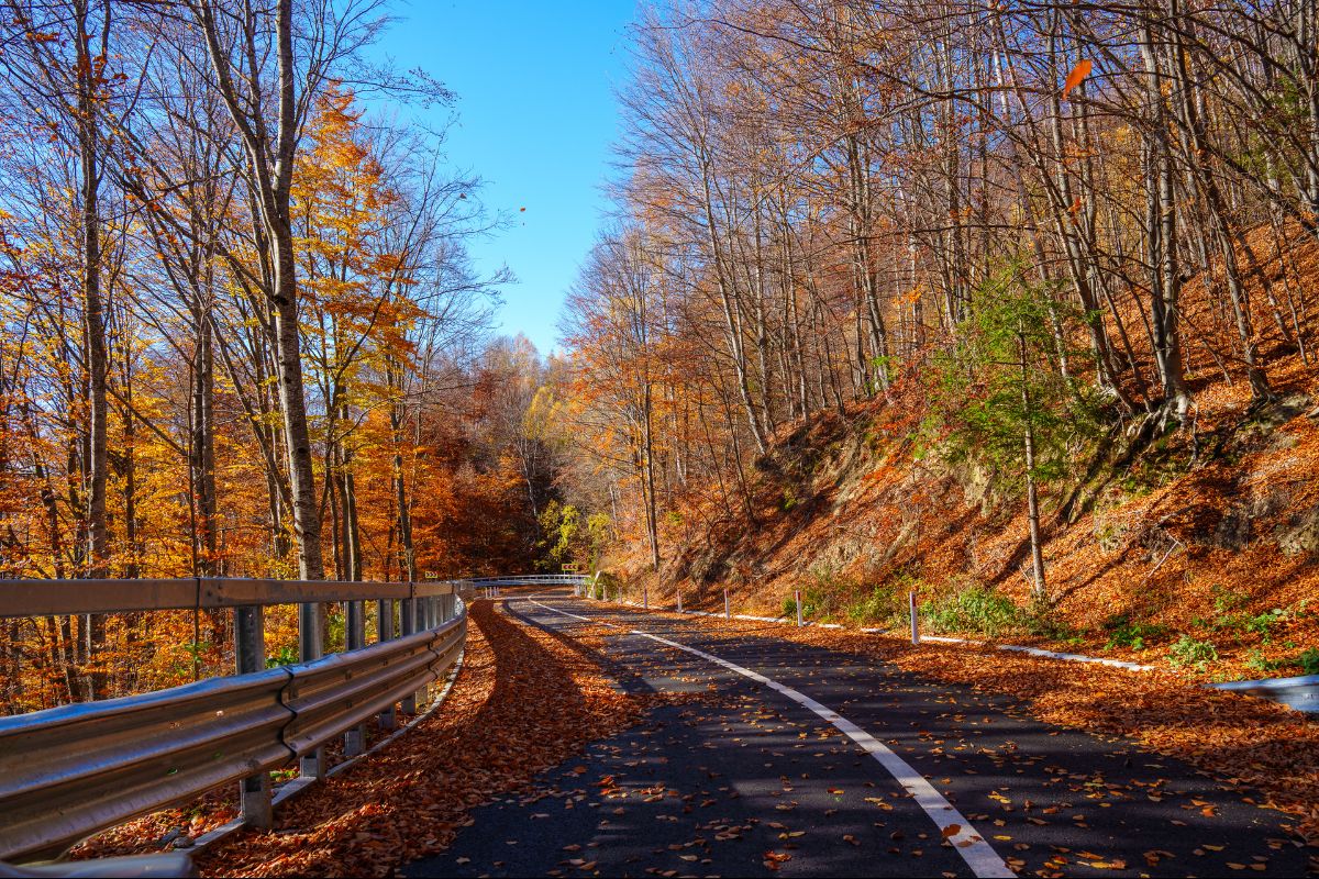 Camere video la soveja pentru stoparea depozitărilor ilegale de deșeuri