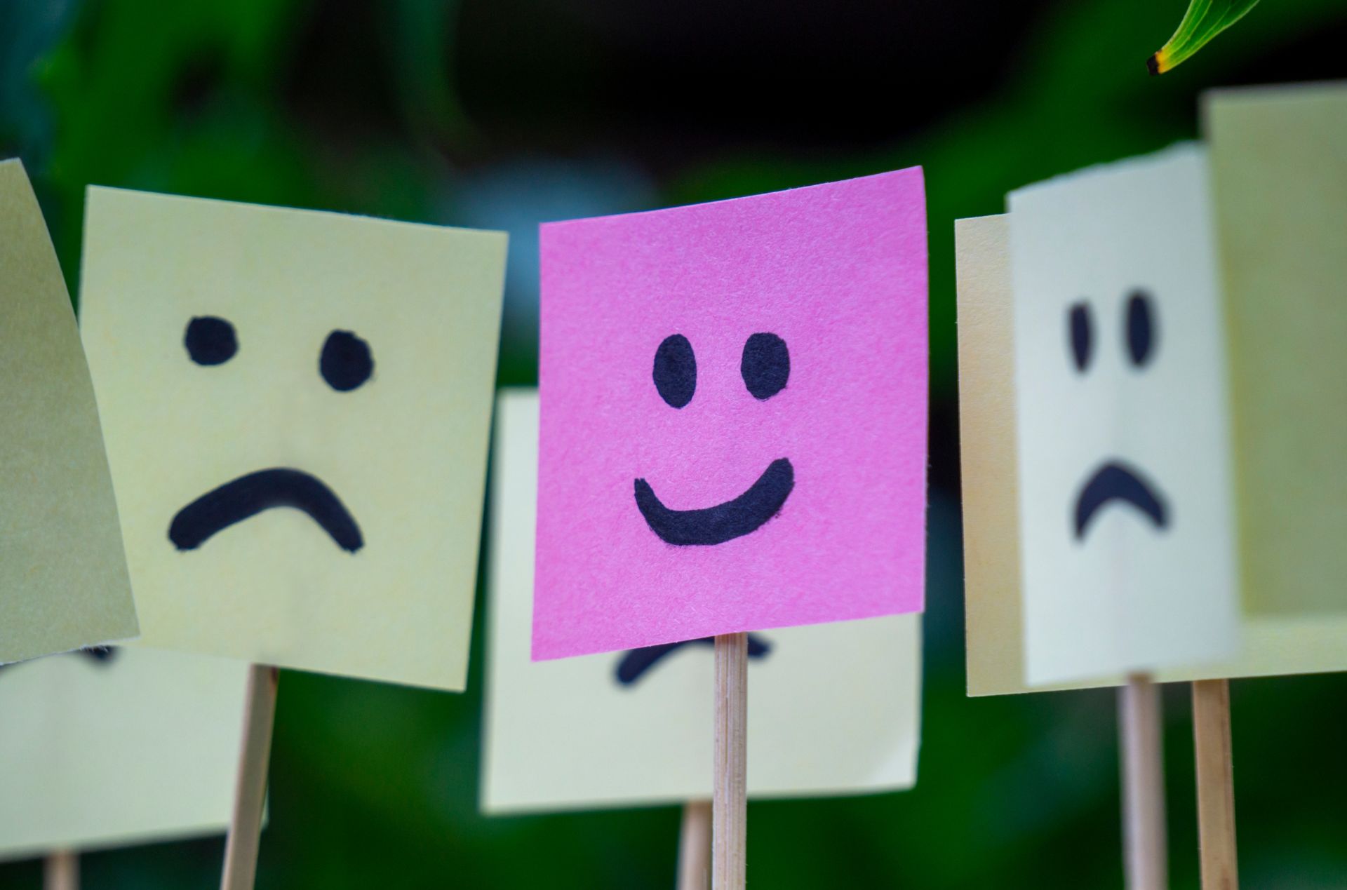 Amabilitatea, un atu în lumea modernă? De ce contează încă