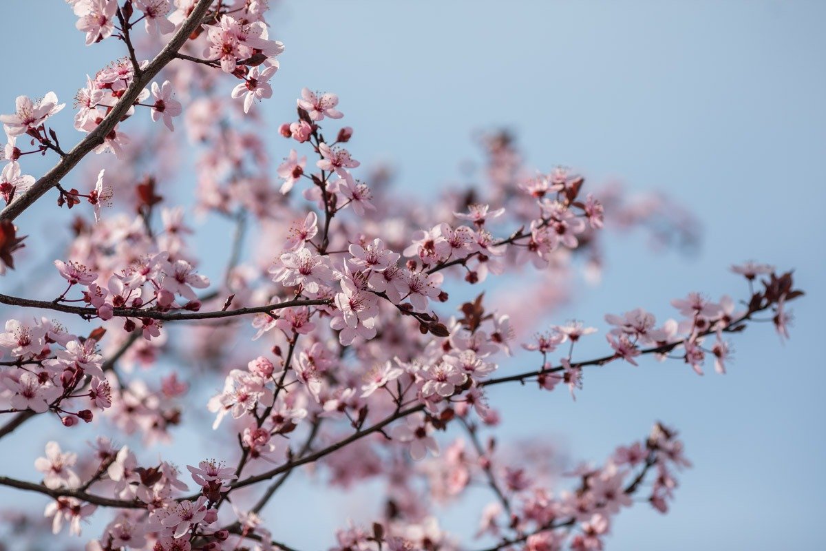 Prognoza meteo: Cum va fi vremea în următoarele patru săptămâni