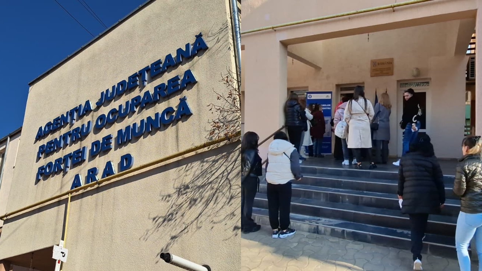 Arad: Șomaj mai mare în rândul femeilor. Studii superioare, joburi greu de găsit