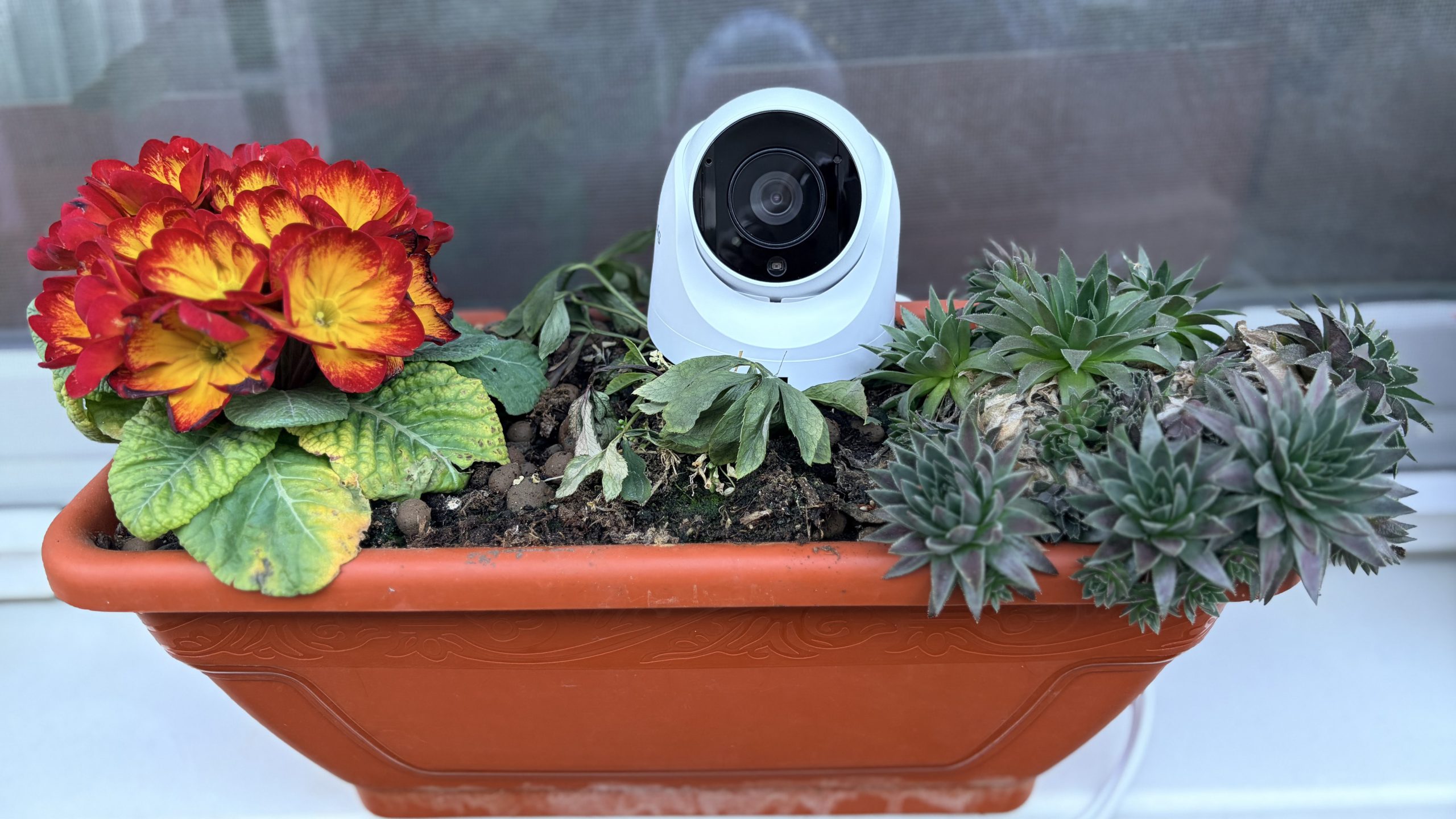 Synology TC500: Camera cu ai, ușor de configurat și stochează inteligent