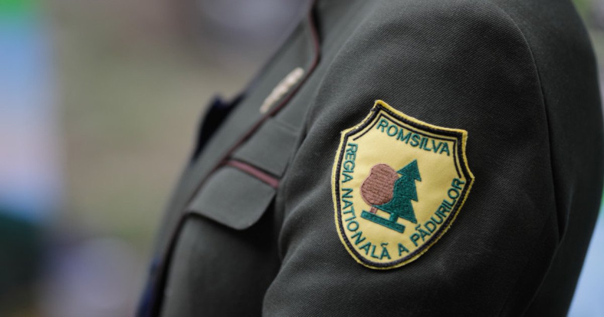 Guvernul reorganizează romsilva: Direcții silvice reduse, criterii pentru directori