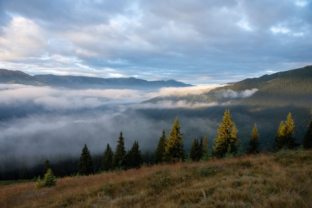 Zonele montane, inclusiv carpații, se încălzesc Rapid, arată un studiu cu ubb