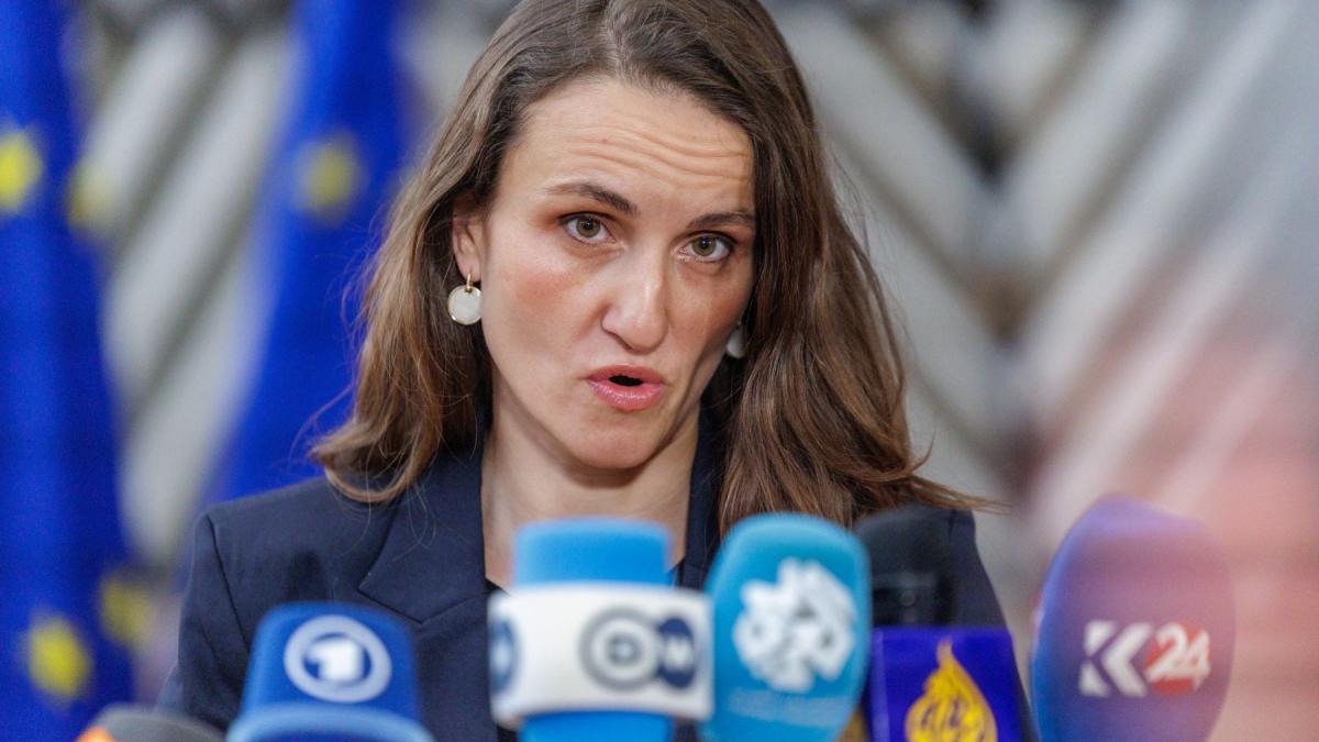 ministrul de externe oana toiu