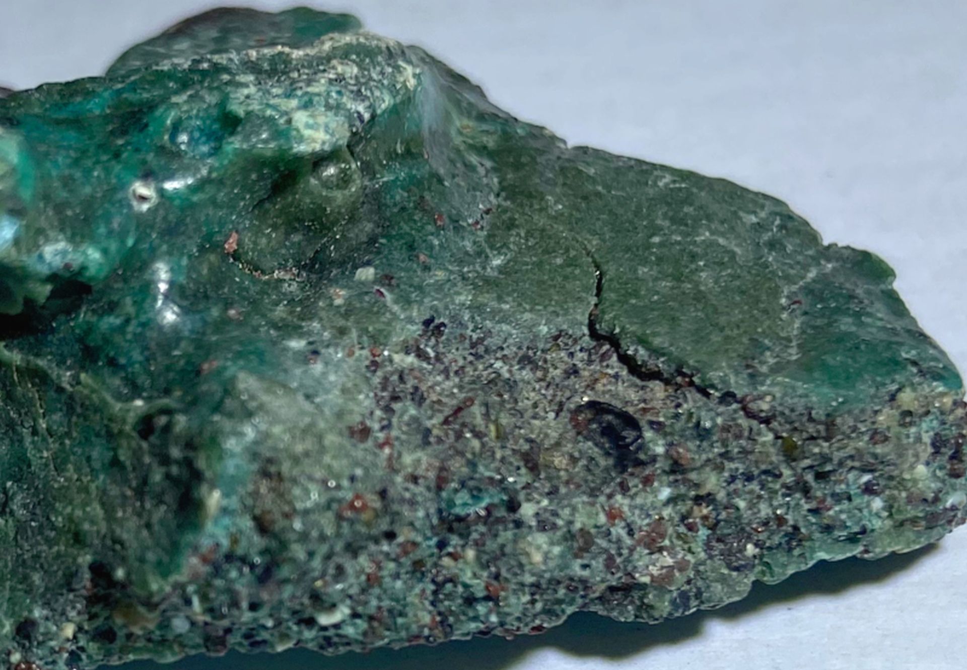 Țestoasele marine, cuiburi în plastic pe o insulă din brazilia