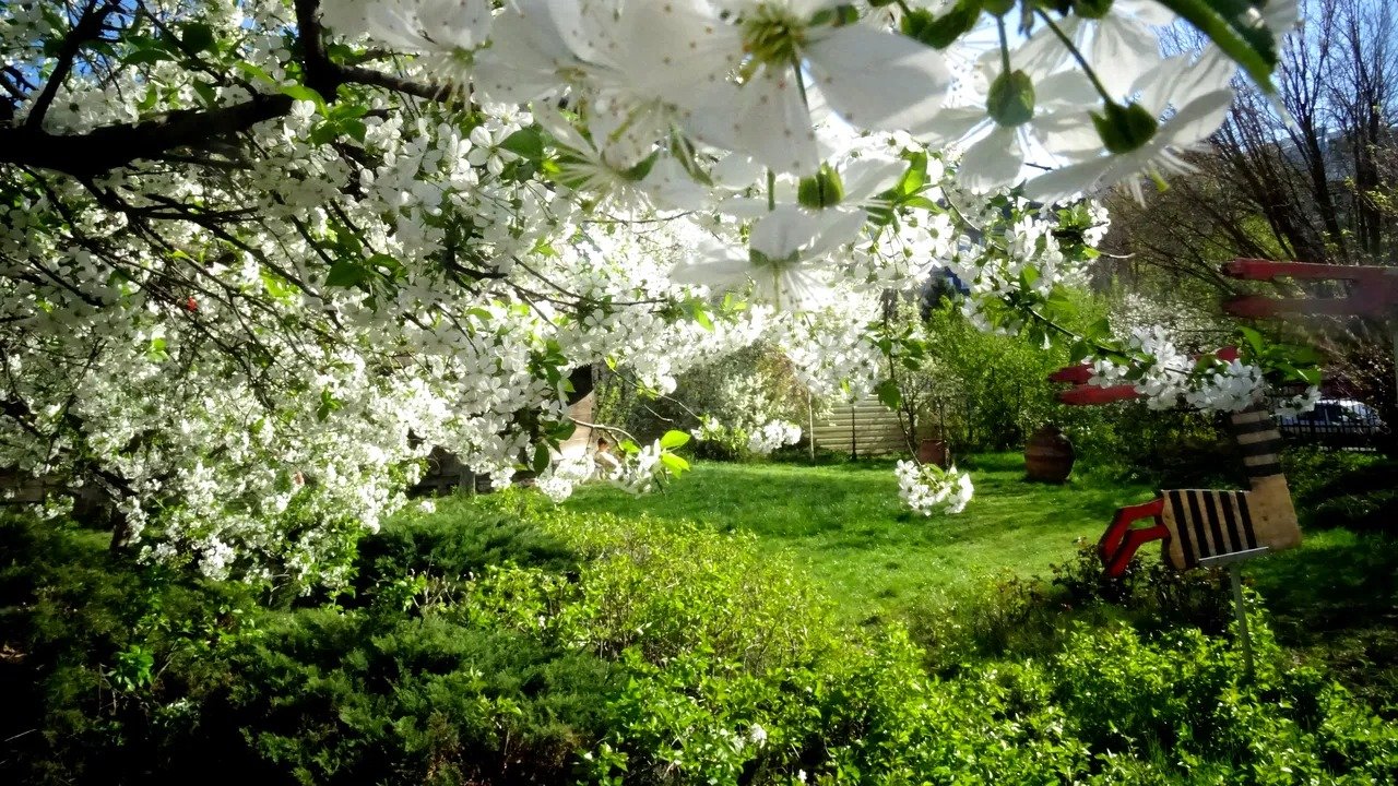 Vremea neobișnuit de caldă în România: Temperaturi record săptămâna viitoare