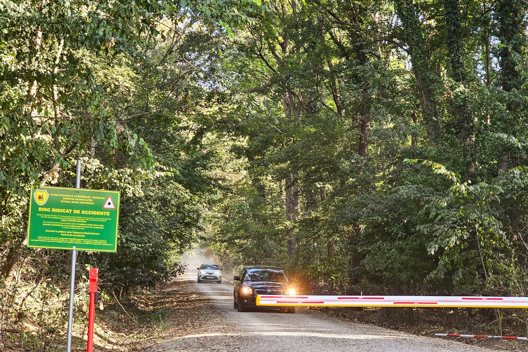 Ministra mediului: Protejarea Pădurii Băneasa, angajament ferm asumat