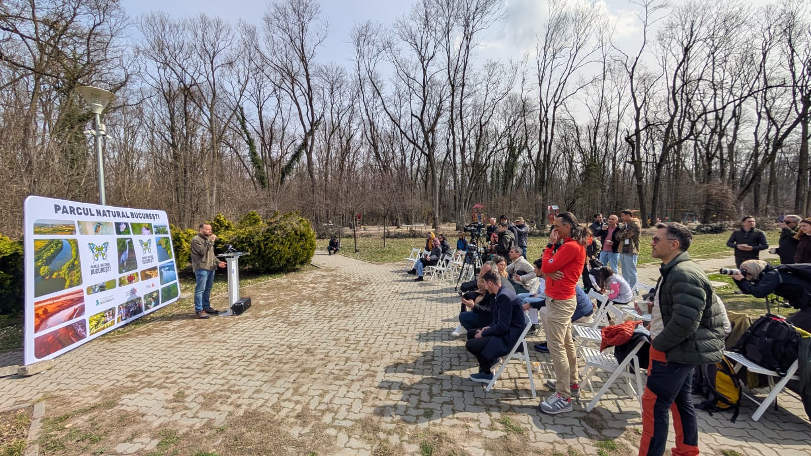 Pădurea Băneasa, posibil arie protejată: Studiu la Academia Română despre importanța sa