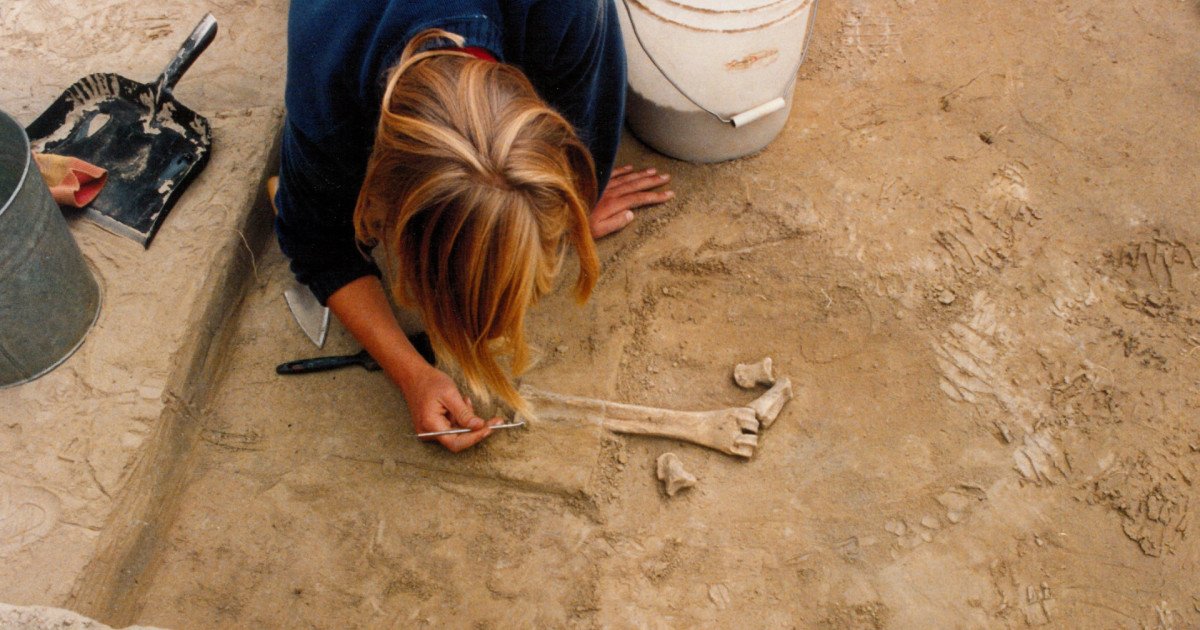 Alaska: Unelte din fildeș de mamut, vechi de 14.000 de ani. O nouă teorie despre primii oameni din americi