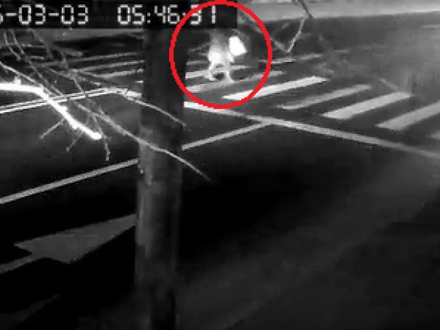 Ce a determinat accidentul lui kader keita, soldat cu o victimă