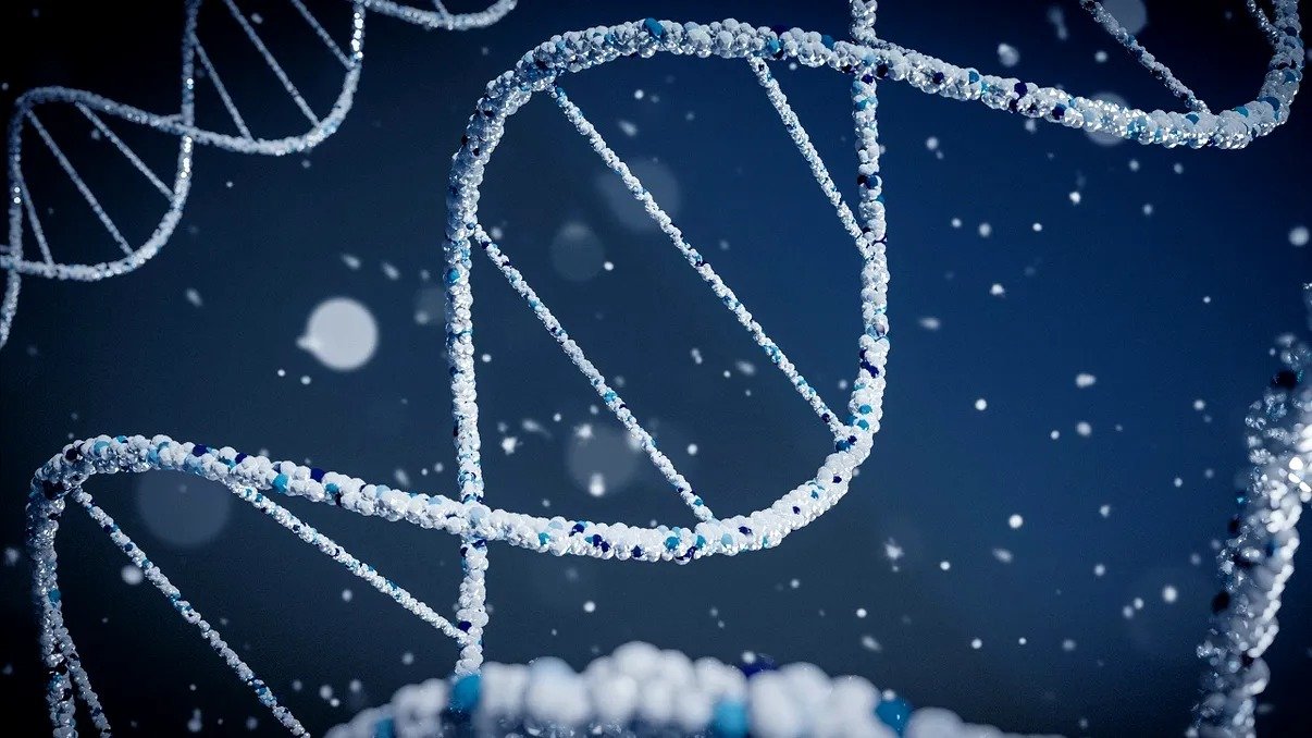 Studiu ADN: Britanicii din epoca bronzului, majoritar din estul Europei