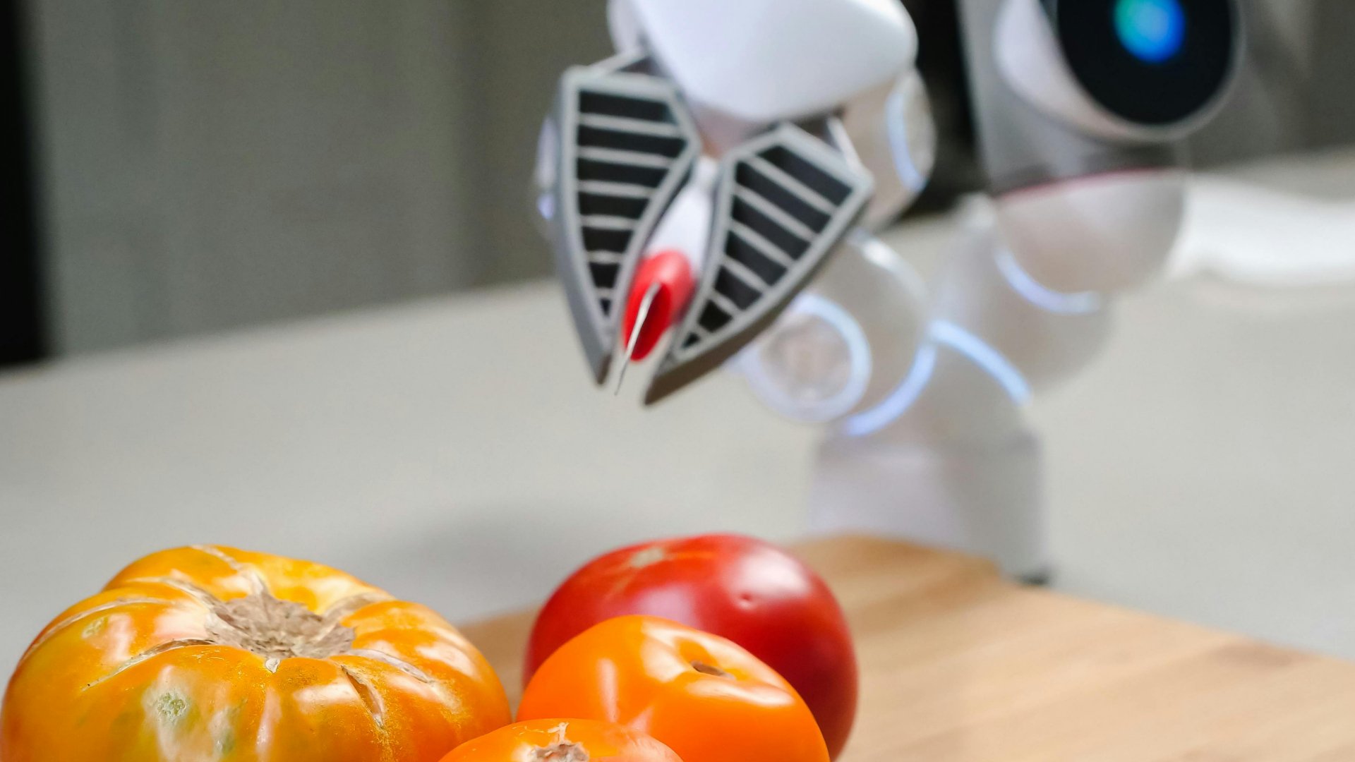 Comisia europeană: Ia folosi inteligența artificială pentru depistarea alimentelor contaminate