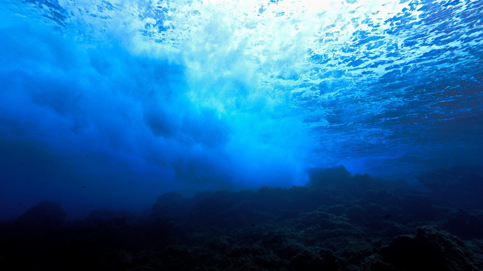 Cercetare: Cum s-a format Marele canion al atlanticului, lung de 500 km?