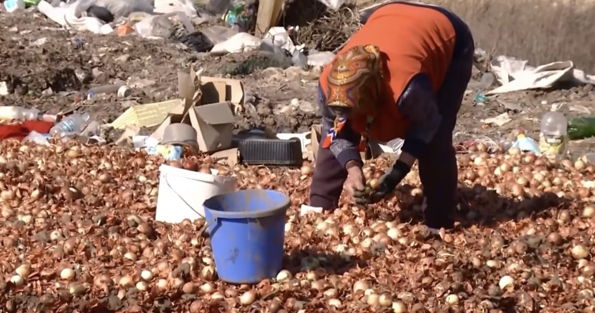 Video: Tone de legume, aruncate la groapa de gunoi în republica moldova
