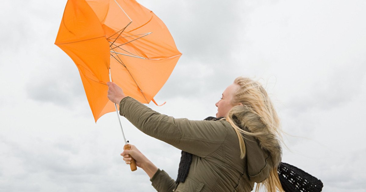 Alertă meteo de vânt puternic în mai multe regiuni din țară. ANM a emis și un cod galben. Zonele afectate și vremea în București