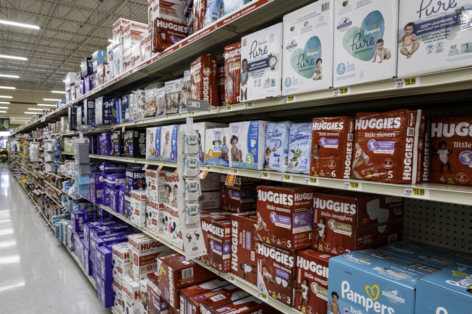 Ciupercile, soluție pentru deșeurile din scutece? Studiu inovativ