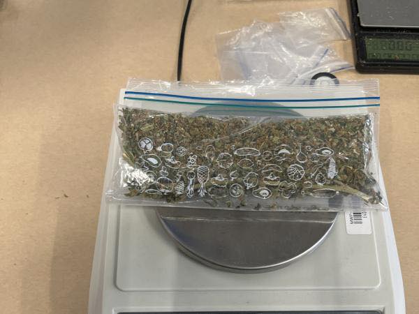 Geantă cu marijuana și bani, donată din greșeală unei organizații din noua zeelandă