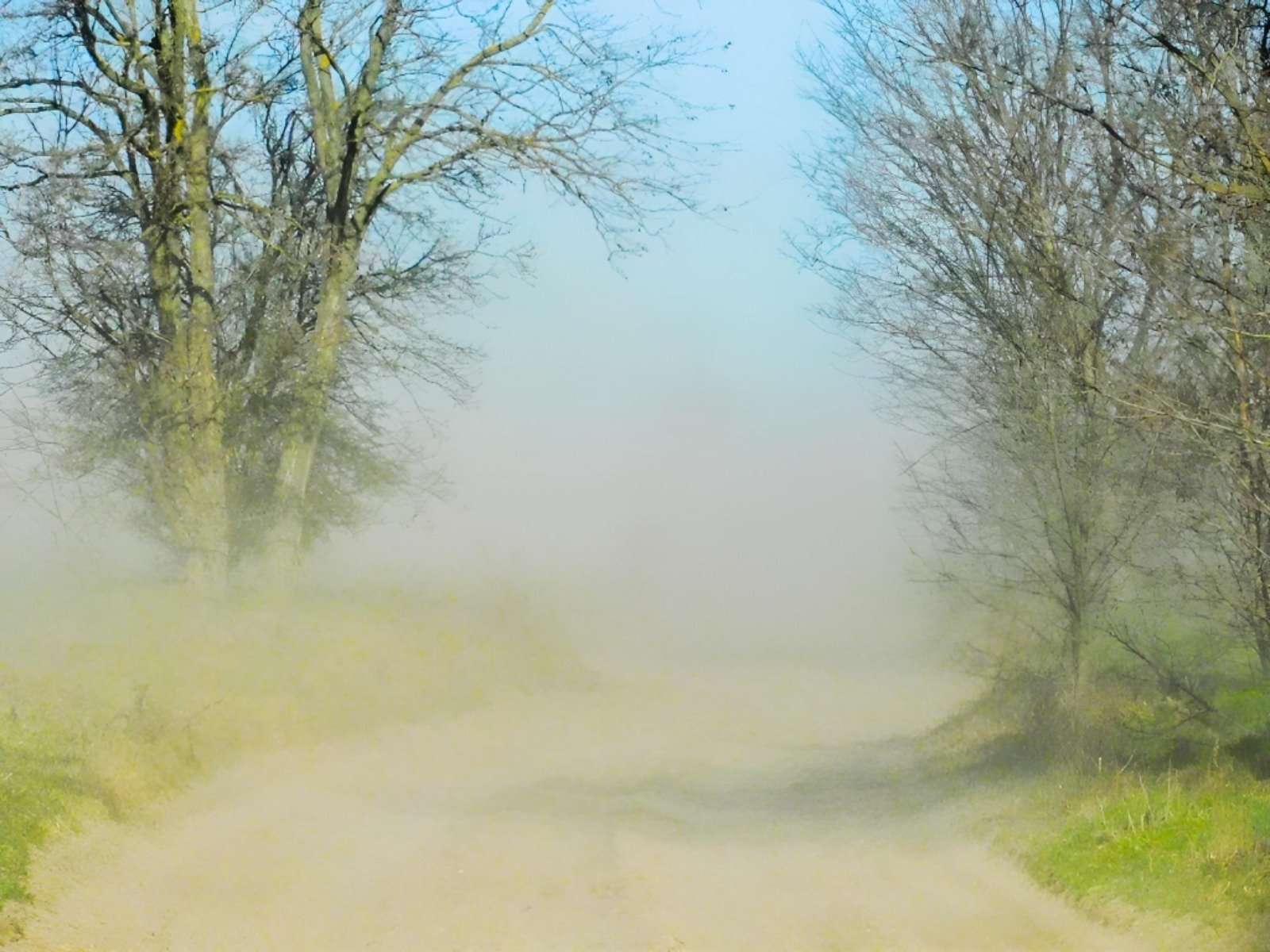 Vânt puternic în sud-vest și la munte, atenționare meteo