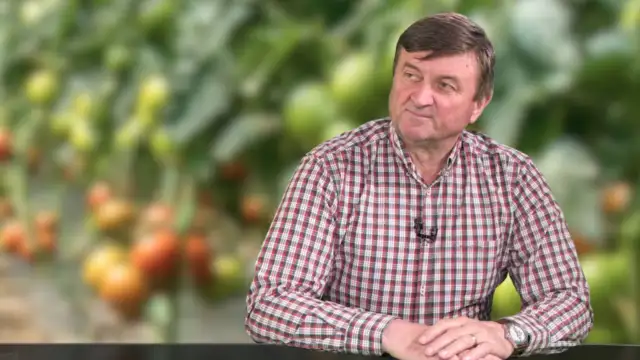 Criză combustibil: Legumele și fructele, mai scumpe în piețe