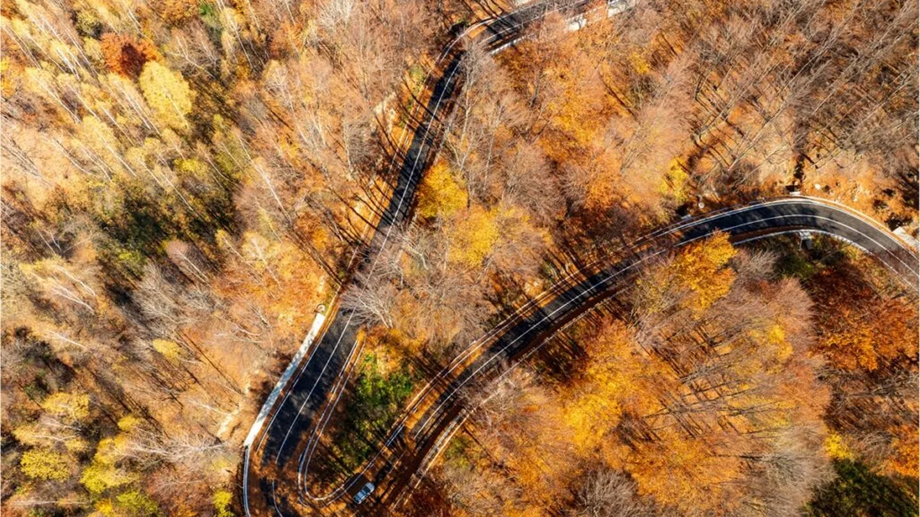 Video: Dn2l, drumul strategic din vrancea modernizat