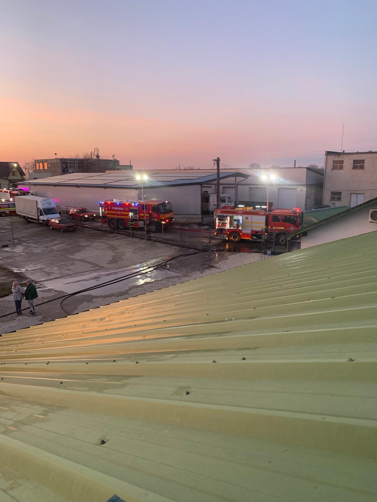 Incendiu masiv la Carei: Un depozit de lemne, cuprins de flăcări