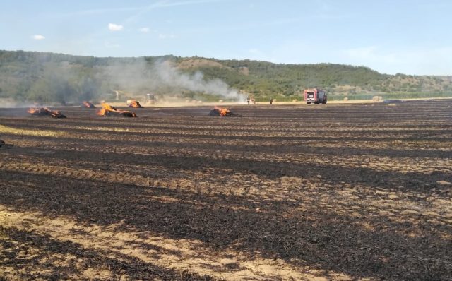 Două trenuri, oprite în Mureș după un incendiu de vegetație