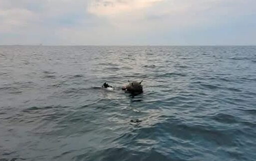 Ministerul Apărării: Rusia, responsabilă pentru minele marine din Marea Neagră