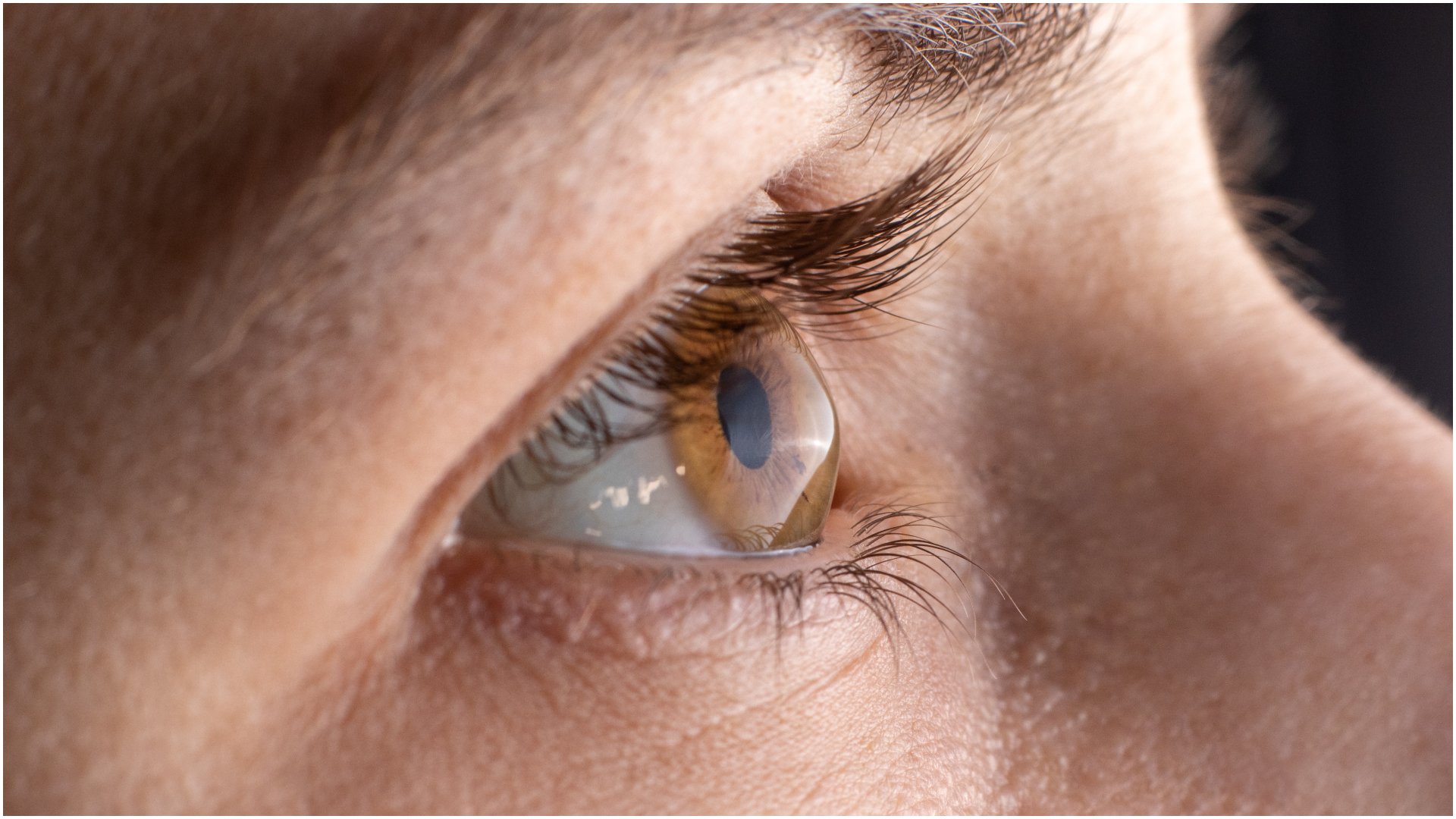 Spania: Cercetători au creat cornee artificială din solzi de pește, alternativă la transplant